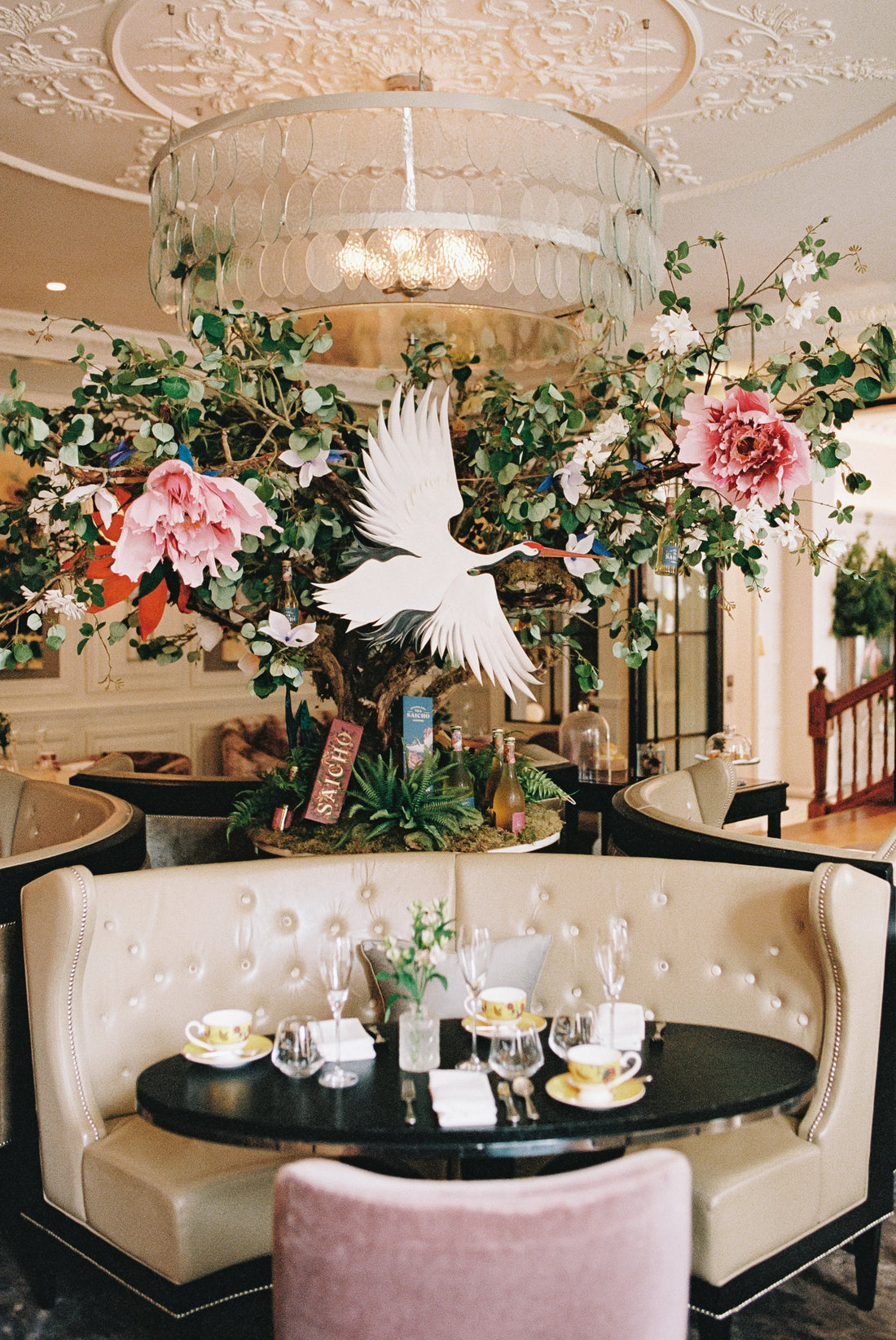 The Cadogan